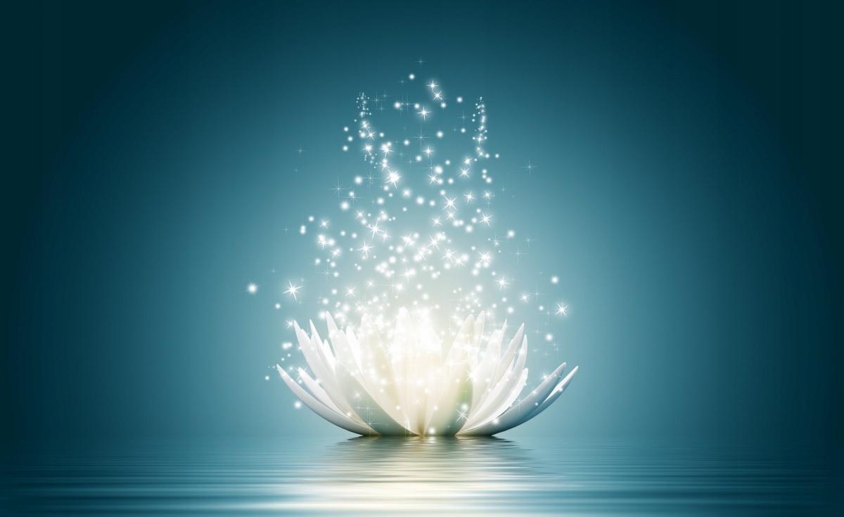 

Fototapeta Flizelinowa Kwiat lotosu 416x254