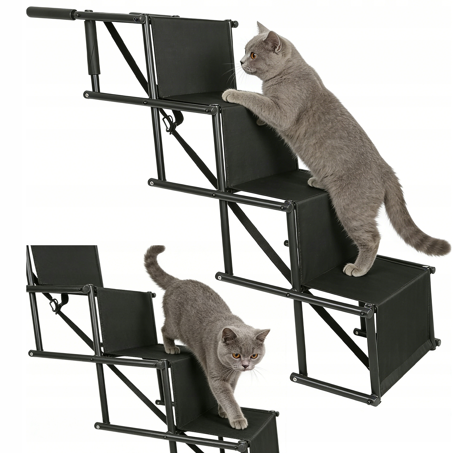 Levně Rampa Schody pro psa kočku 4 stupně Protiskluzová Plošina 76 cm Schody