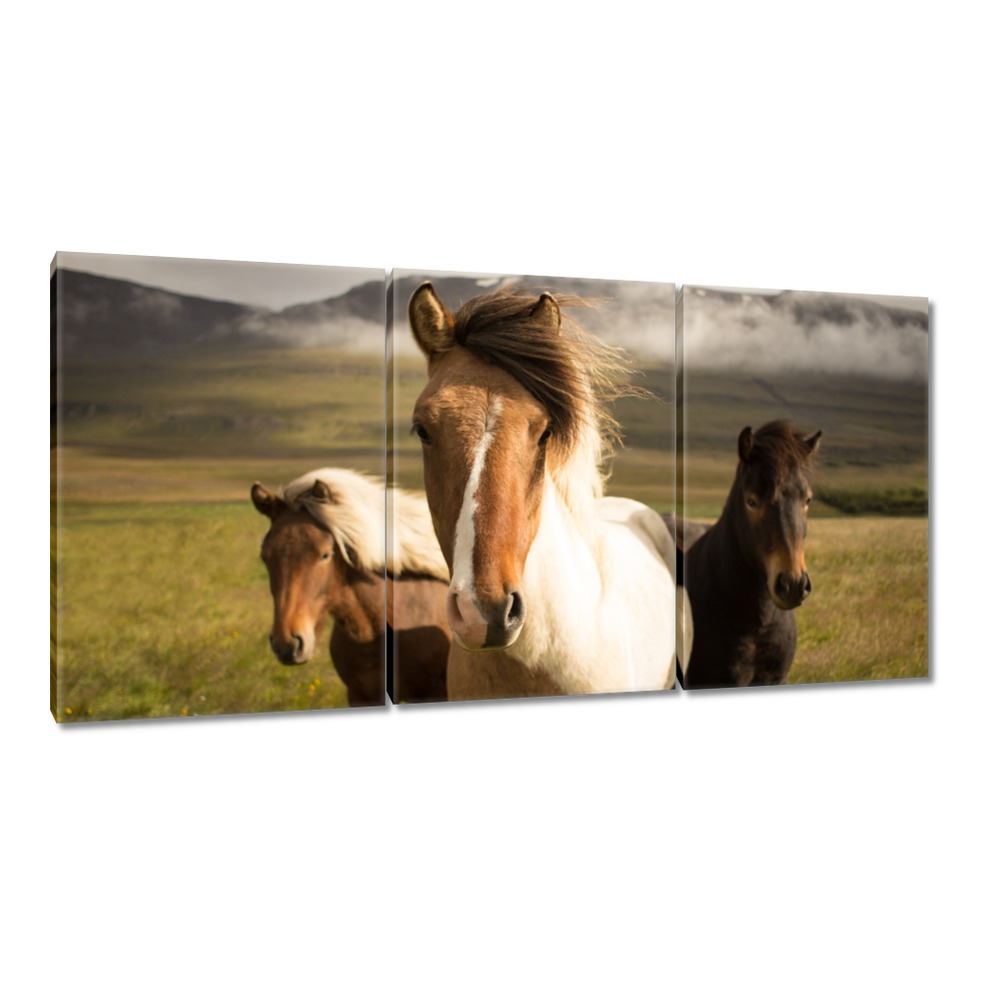 

Obrazy 120x60 Dzikie konie