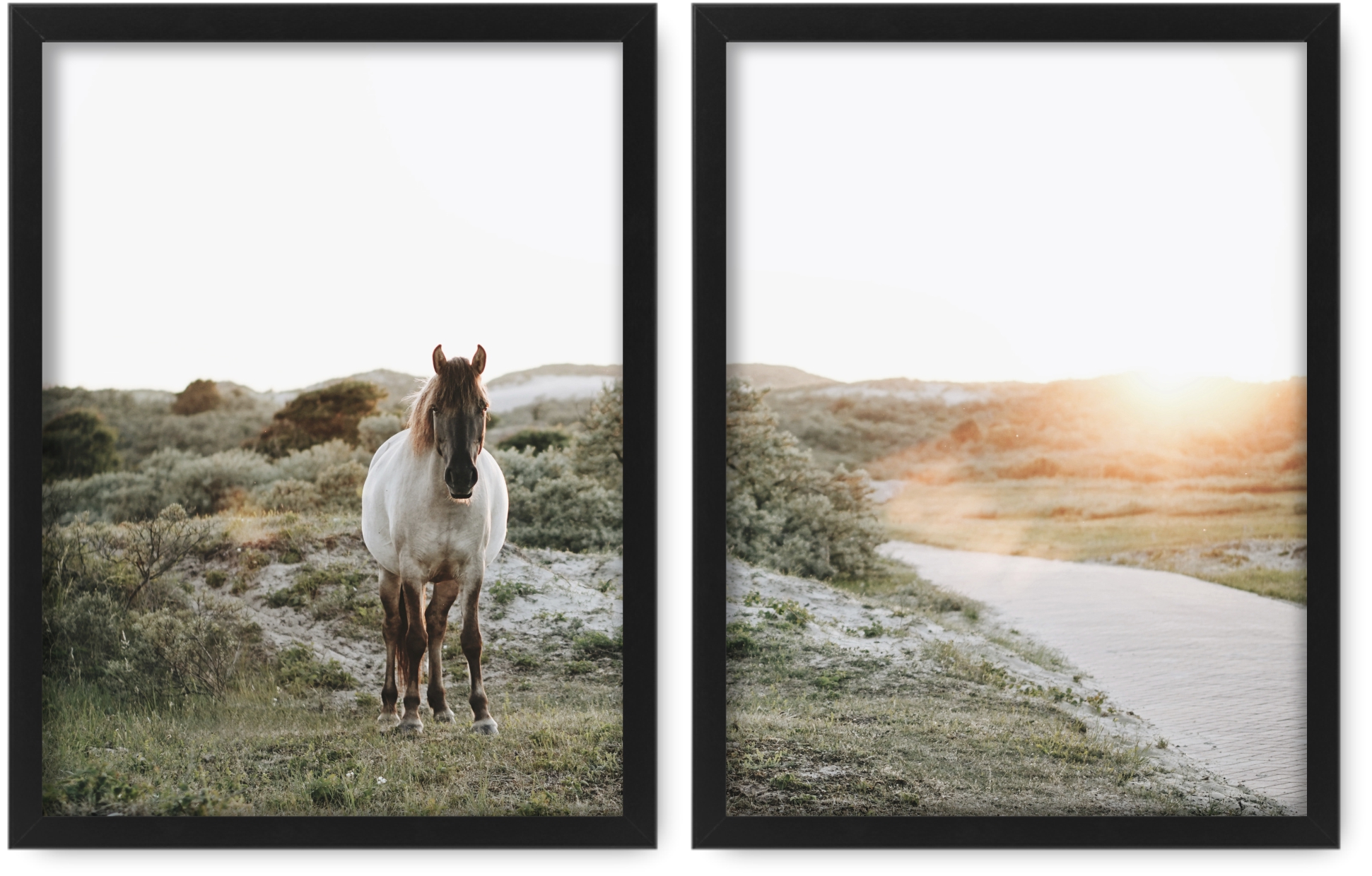 

Koń Rzeka 2 obrazy 33x43 plakaty, ramy ikea #96