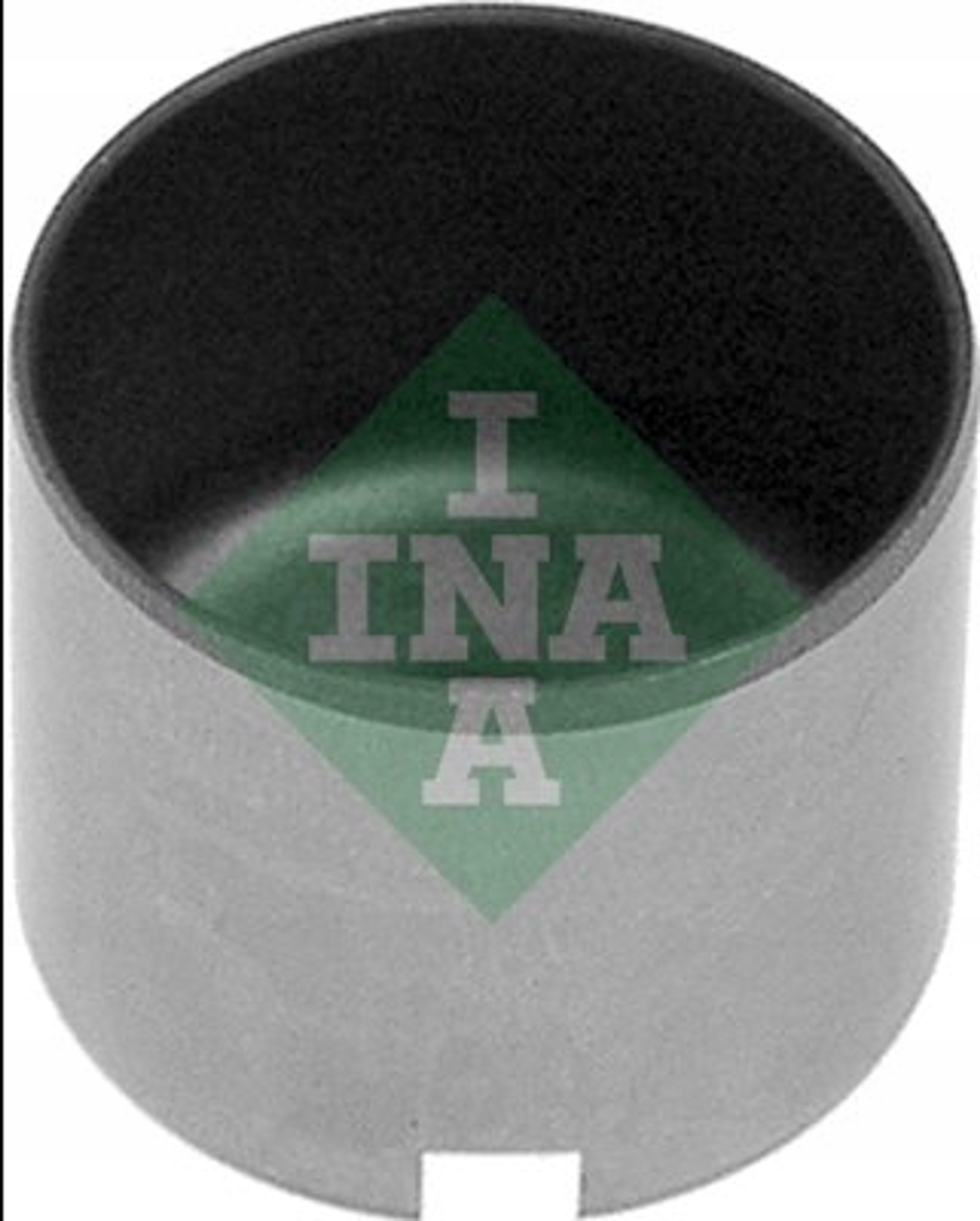 INA 421004110 POPYCHACZ ZAWORÓW FIAT