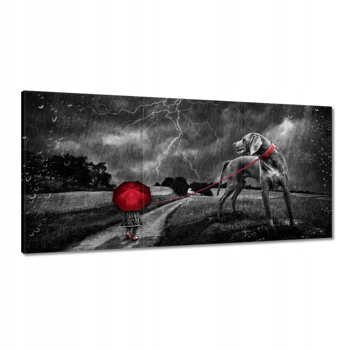 Obrazy 180x90 Prekonala ma táto prechádzka