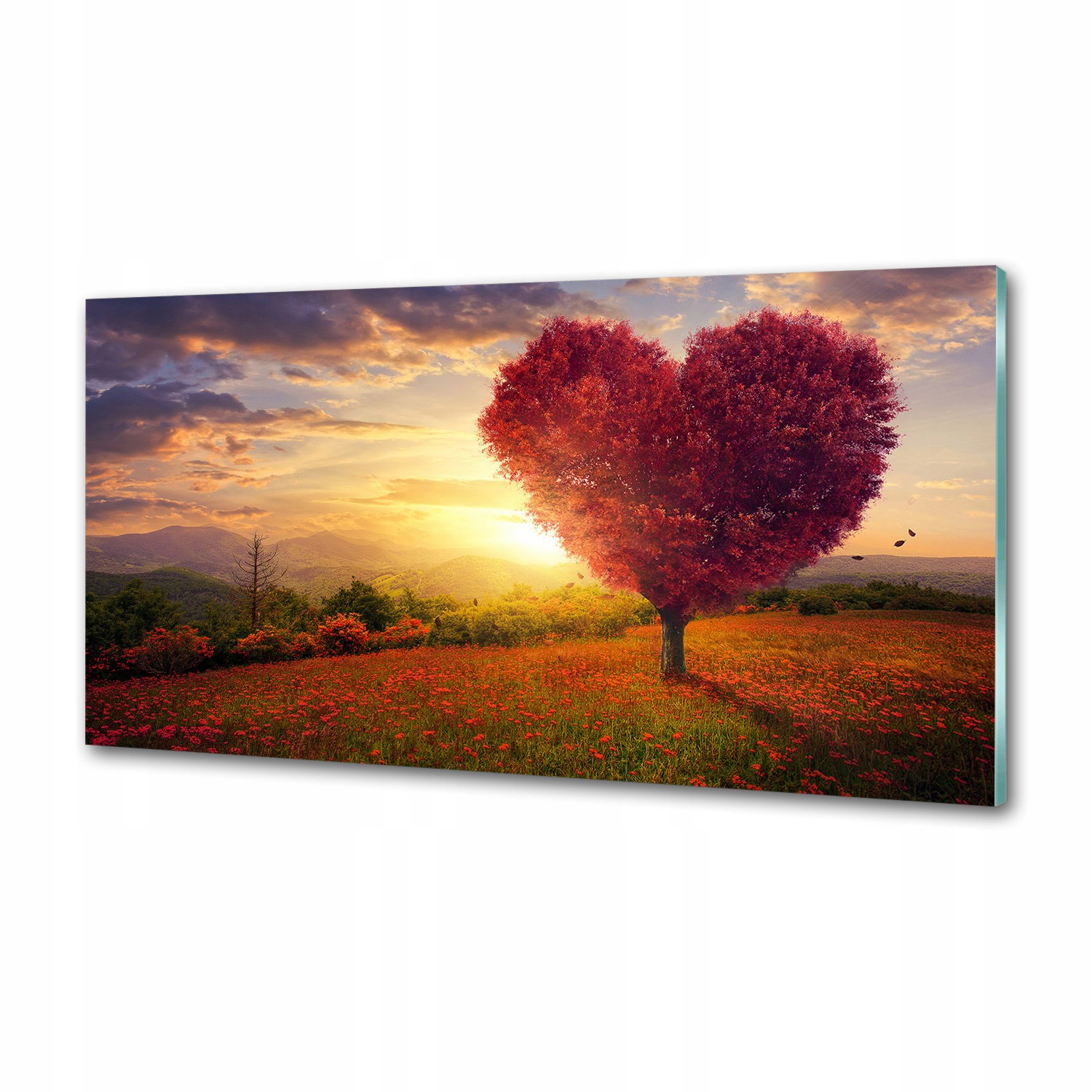 Panel do kuchyne Stromček pole srdce 120x60 cm Lepidlo