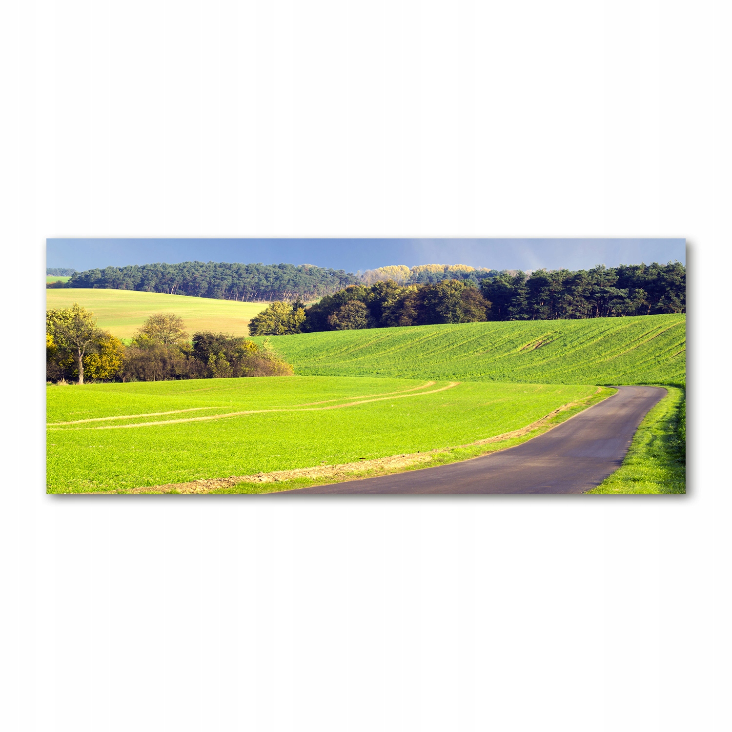 

Foto obraz na szkle akrylowym Polna droga 125x50cm