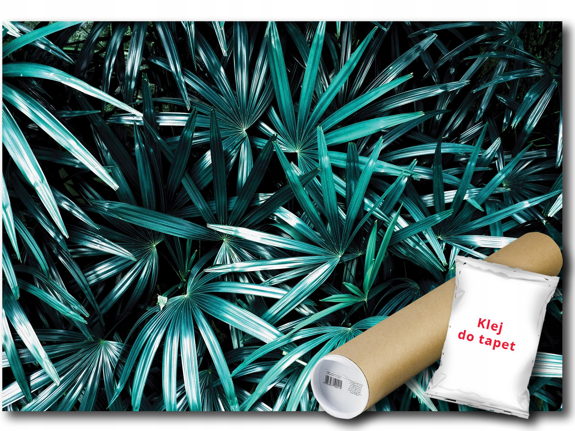 Fototapeta Flizelina Rostliny Příroda Listy Palma Zeleň 208x146