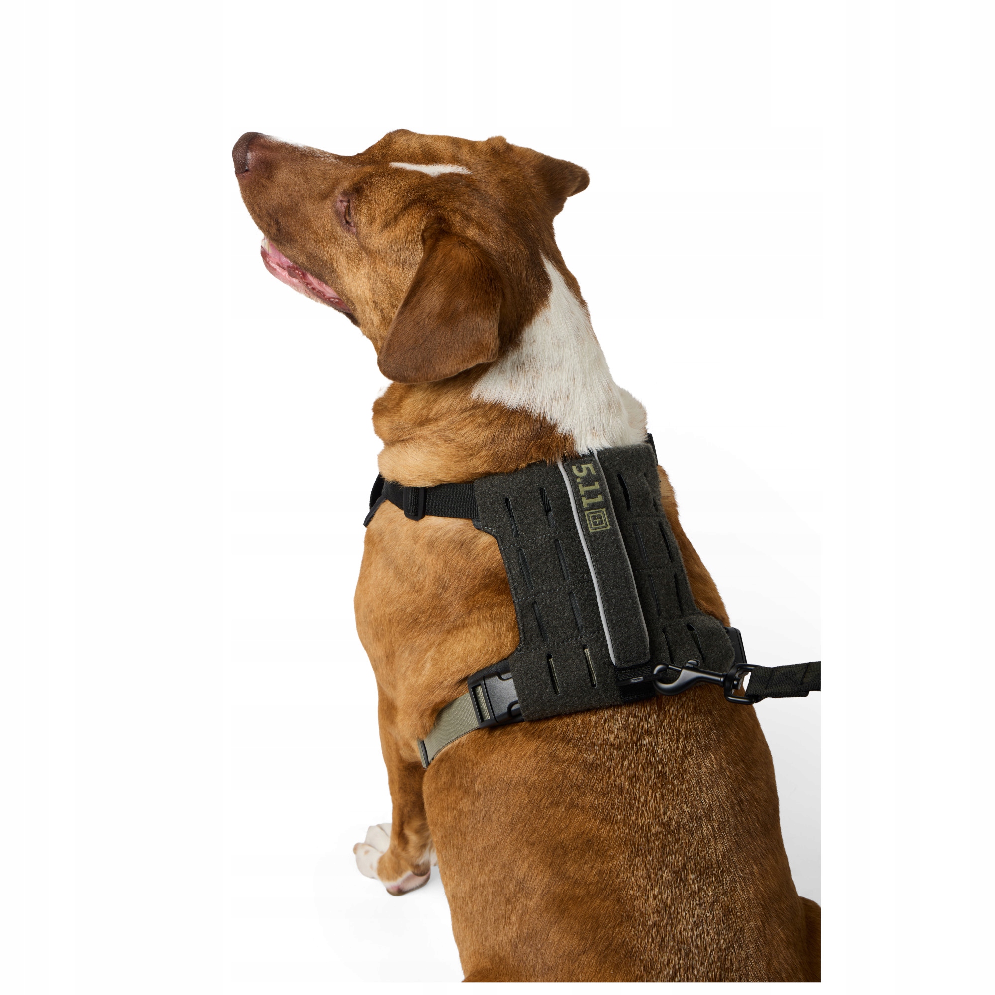 Szelki dla psa 5.11 Mission Ready Dog Harness Volcanic [Rozmiar M]