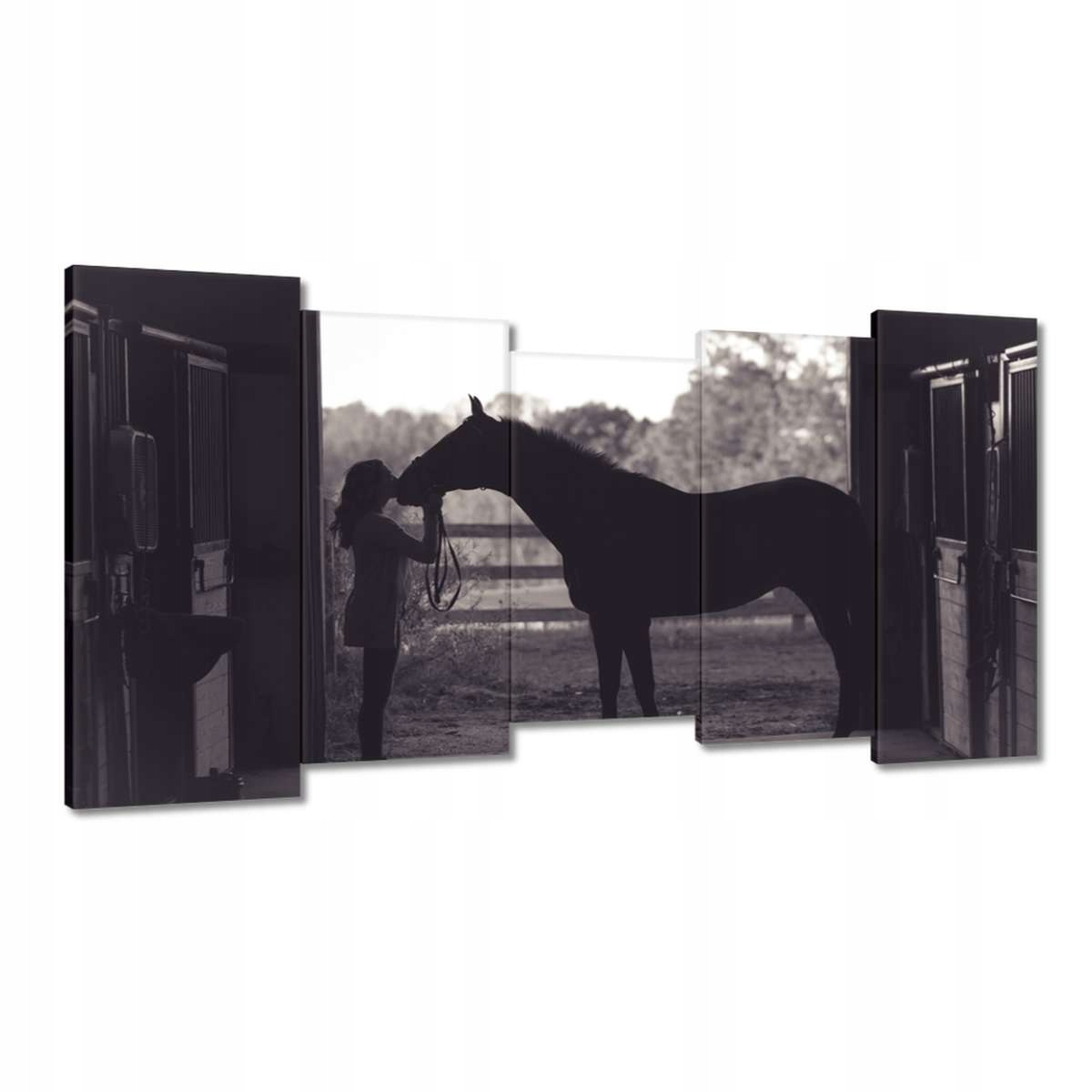 Obrazy 150x80 Kůň Jezdectví