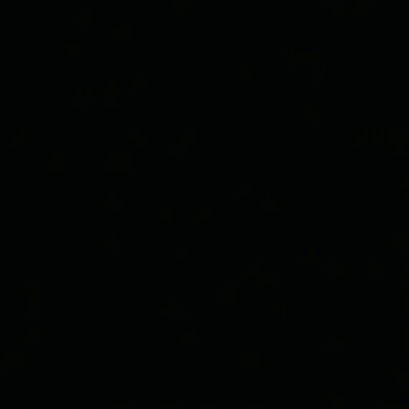 West Kayne: Donda 2CD