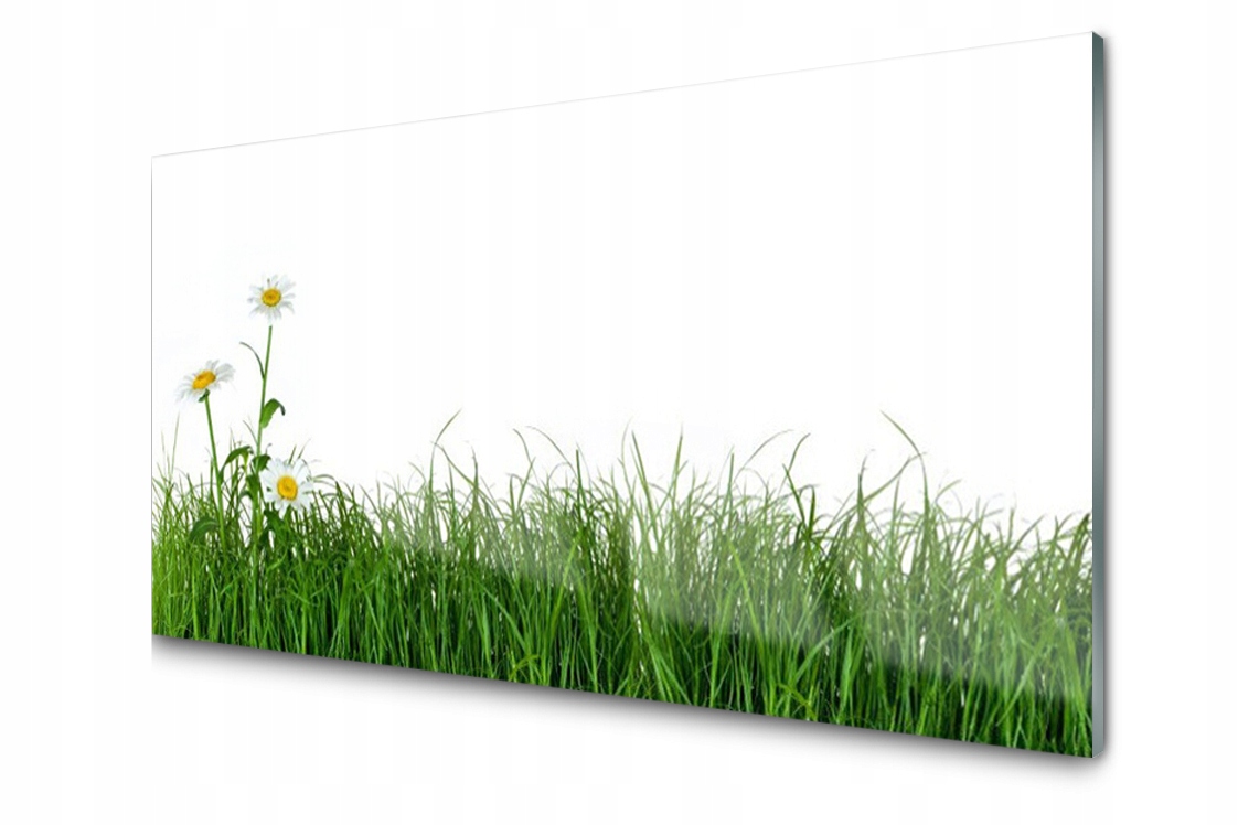 Skleněný panel dekor Plevel Rostlina 120x60 Lepidlo