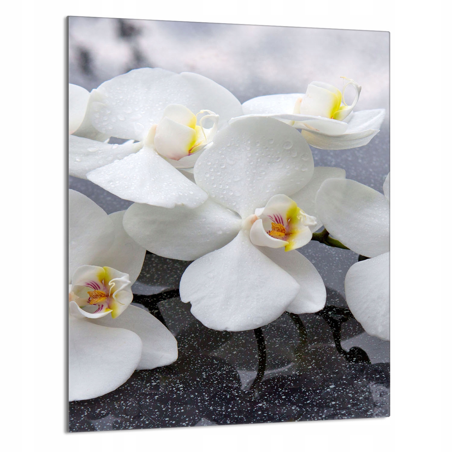 Skleněná Krájecí Deska 40x52 Orchidej Do Kuchyně