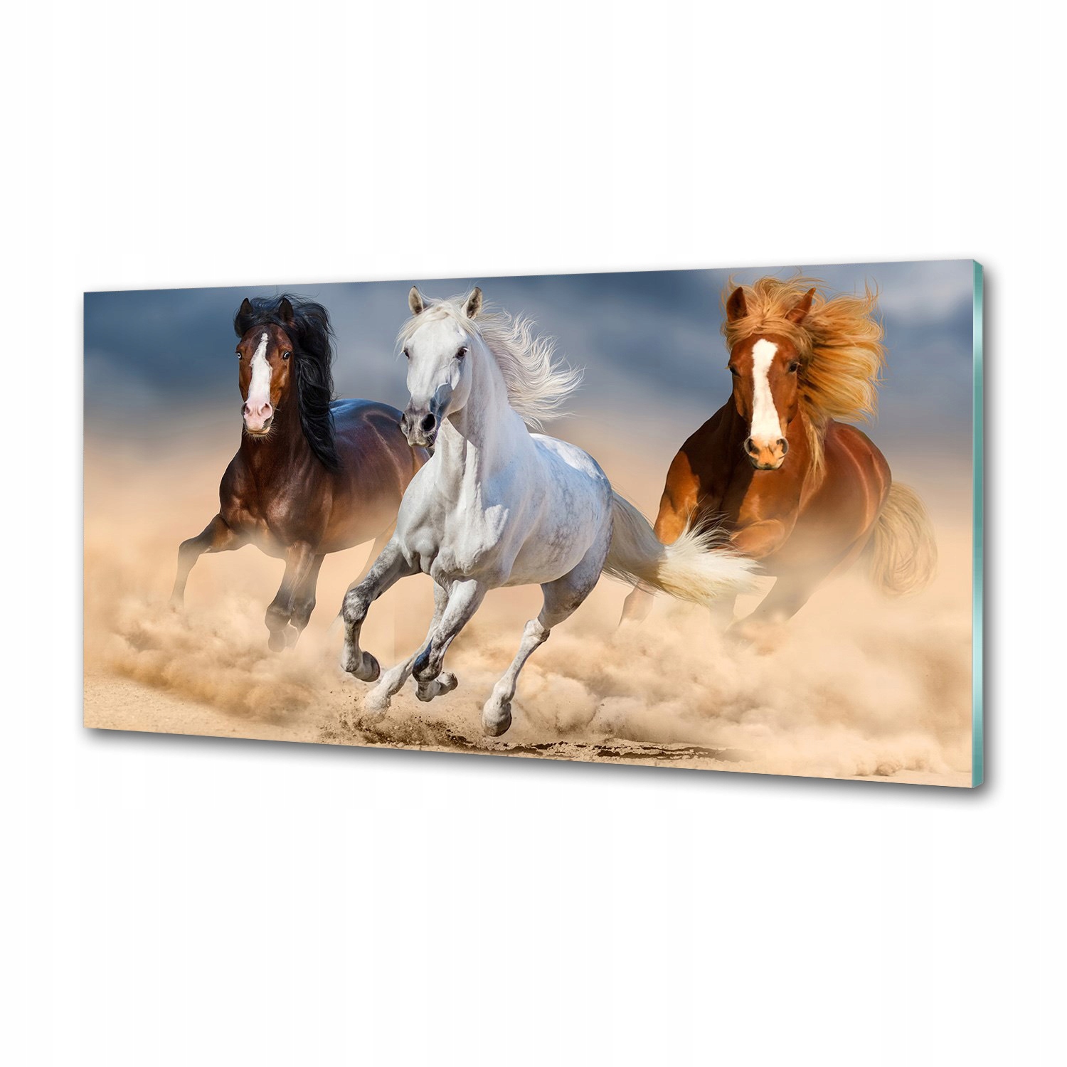 Panel do kuchyne Kone v púšti 120 x 60 cm Lepidlo