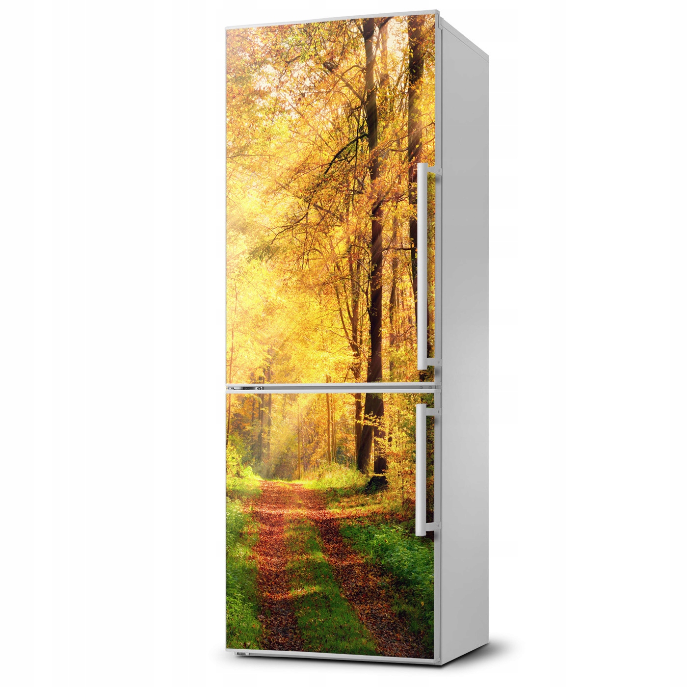 

Naklejka Magnetycznafototapeta na lodówkę Las jesi