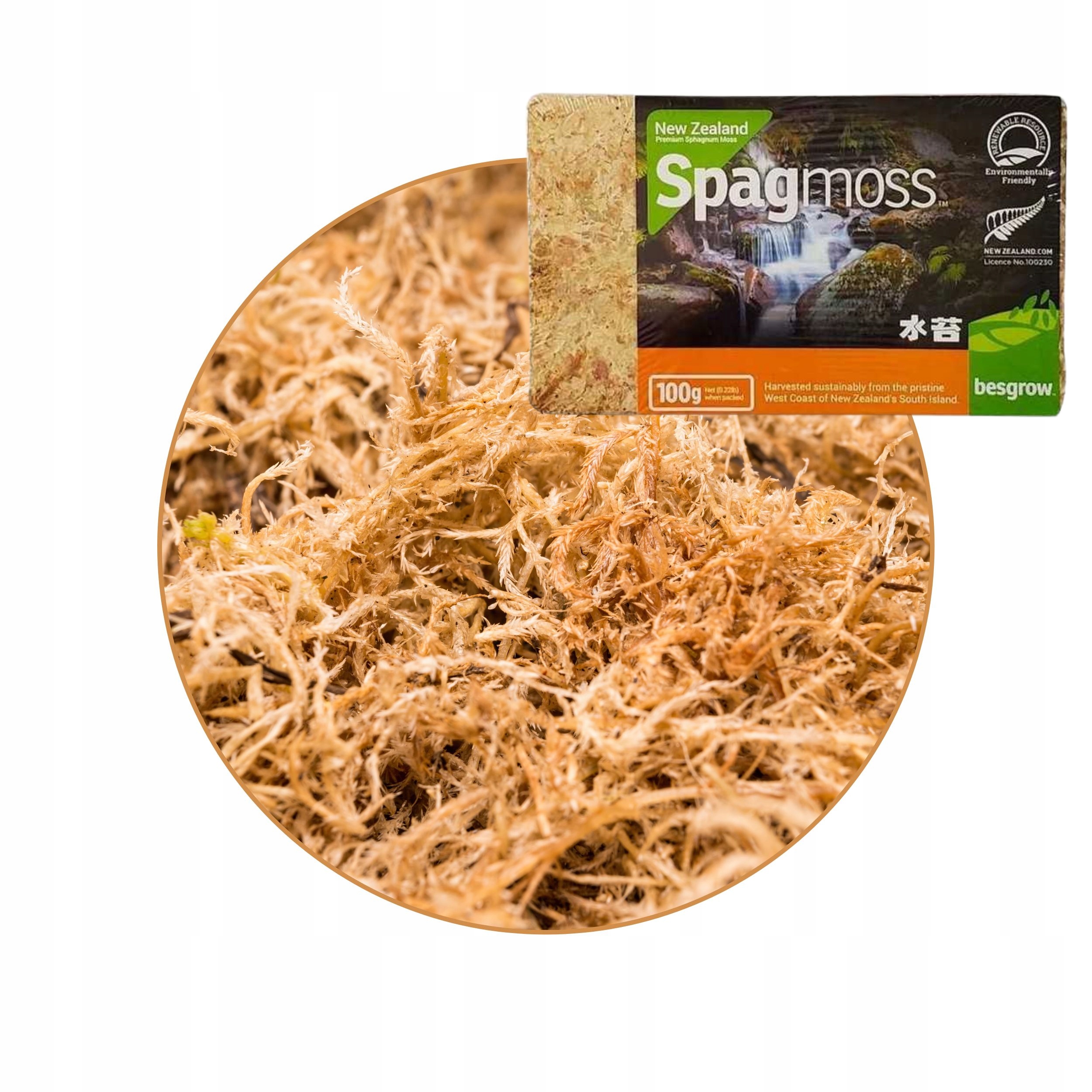 Mech torfowiec prasowany Sphagnum 8l - 100g do terrarium Spagmoss Besgrow EAN (GTIN) 9416922000843