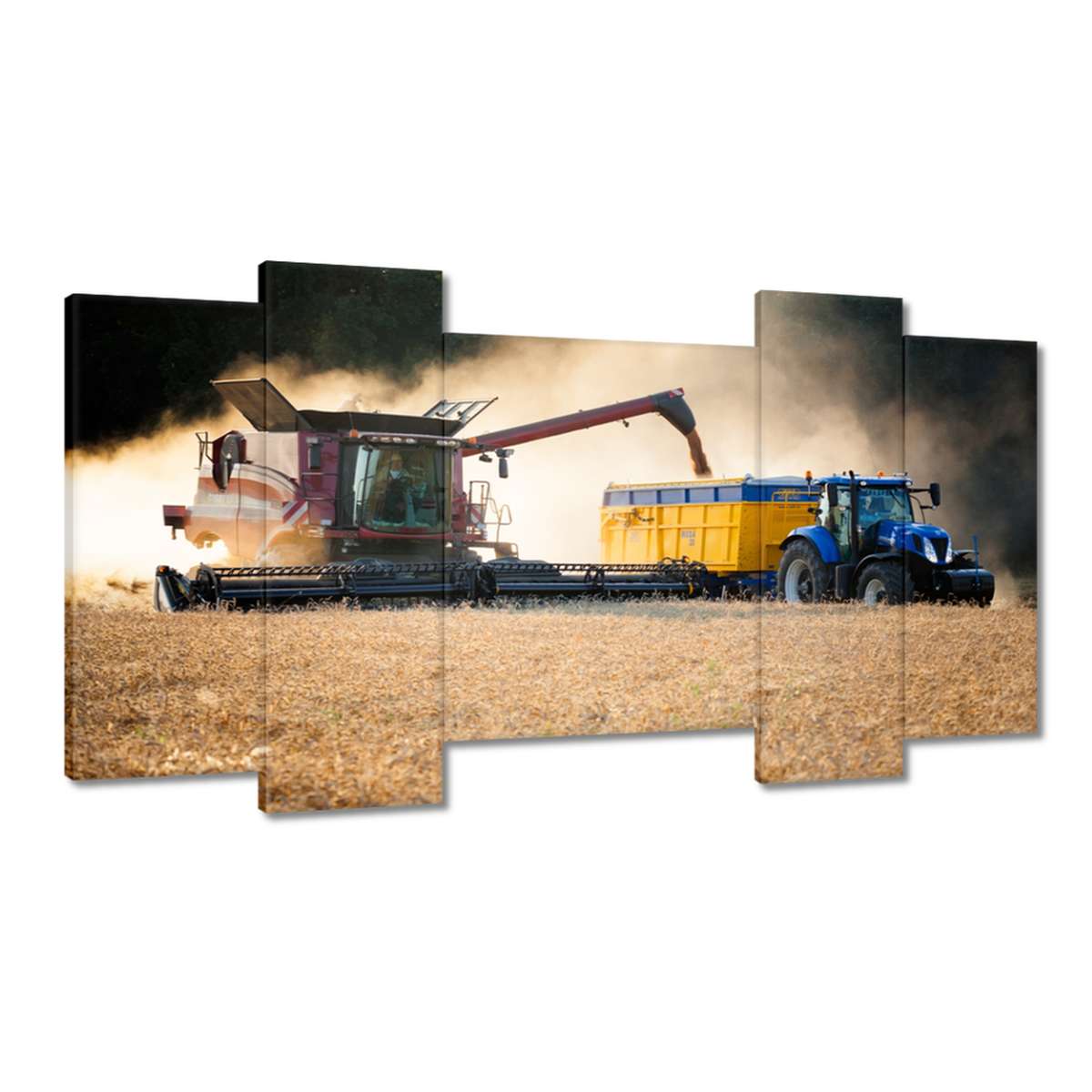 Obrazy 120x65 Žně Kombajn Traktor