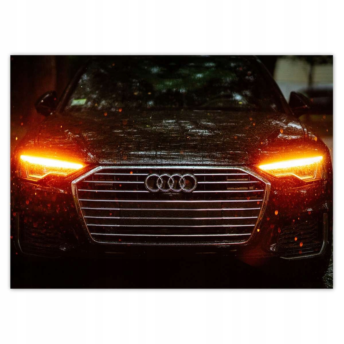 Fototapety 254x184 Audi Krásné auta