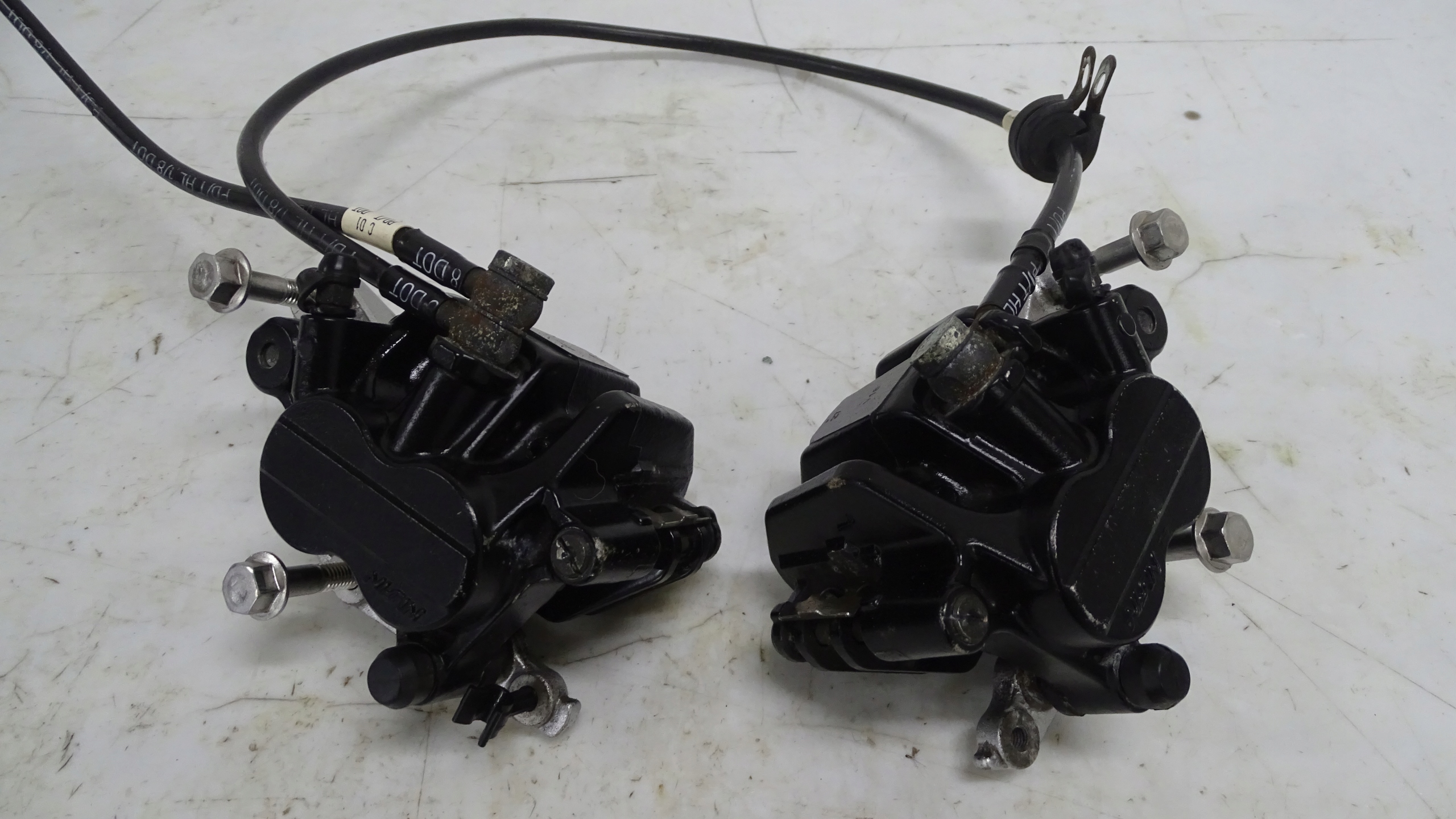 Triumph Tiger 955 955i передні гальмівні супорти