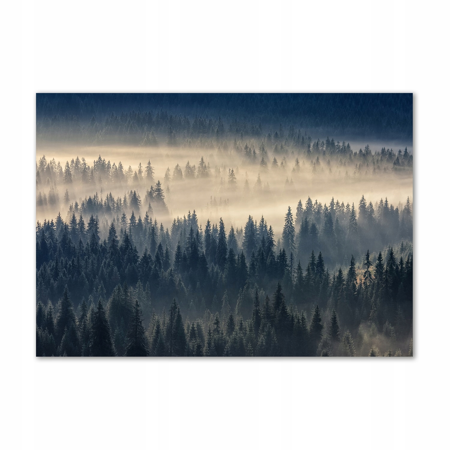 

Foto obraz szkło akryl Mgła nad lasem 100x70 cm