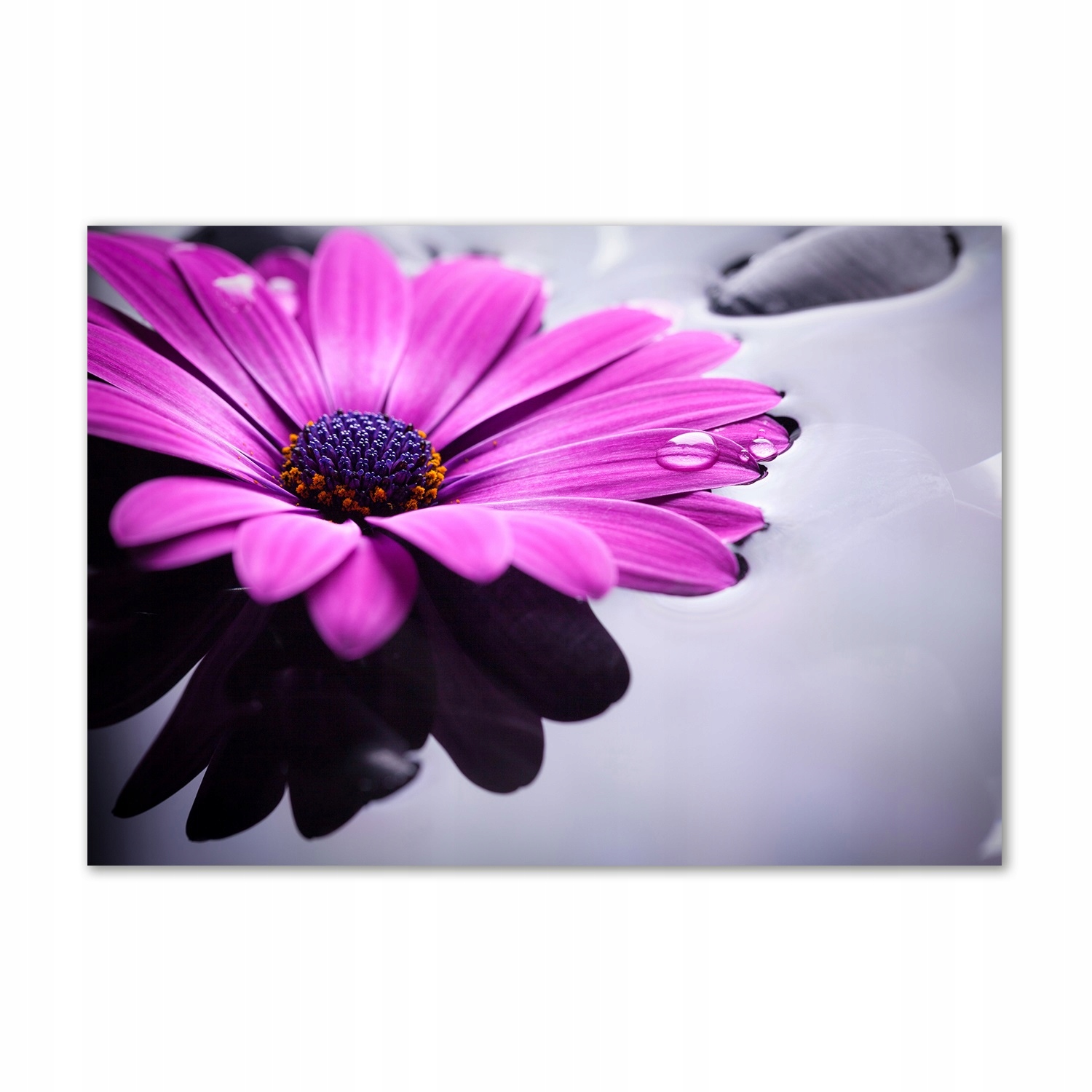 

Fotoobraz na ścianę szkło hartowane Gerbera 100x70