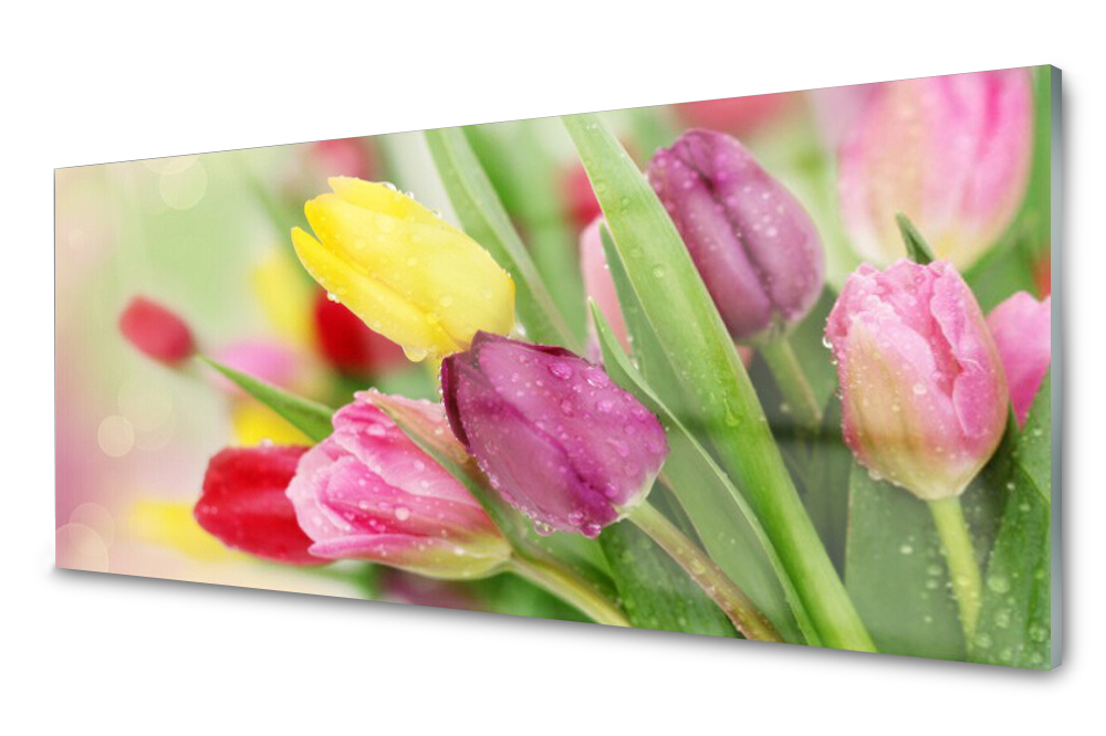 Sklenený panel do kuchyne Tulipány Kvety 125x50