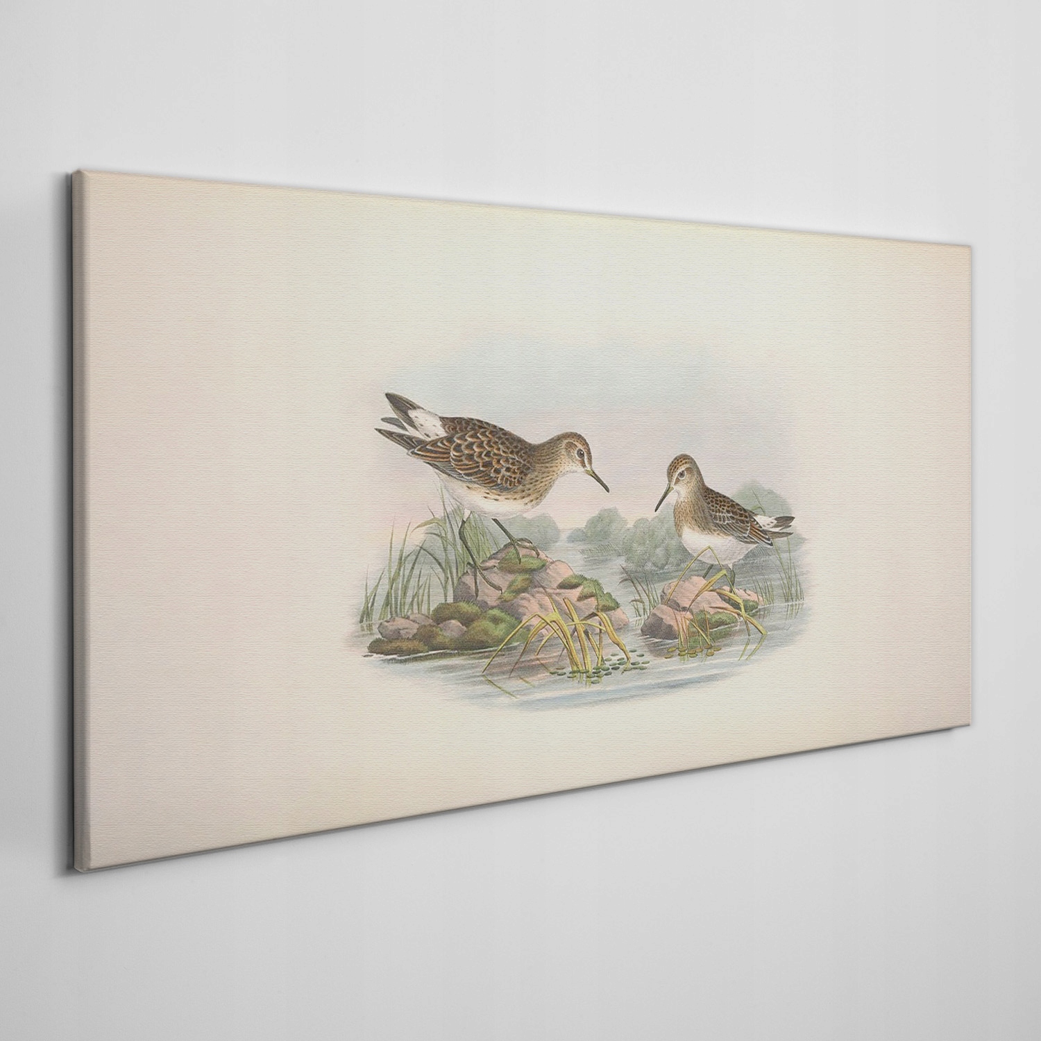 

Obraz na płótnie Ptaki zwierzęta beżowy 140x70 cm