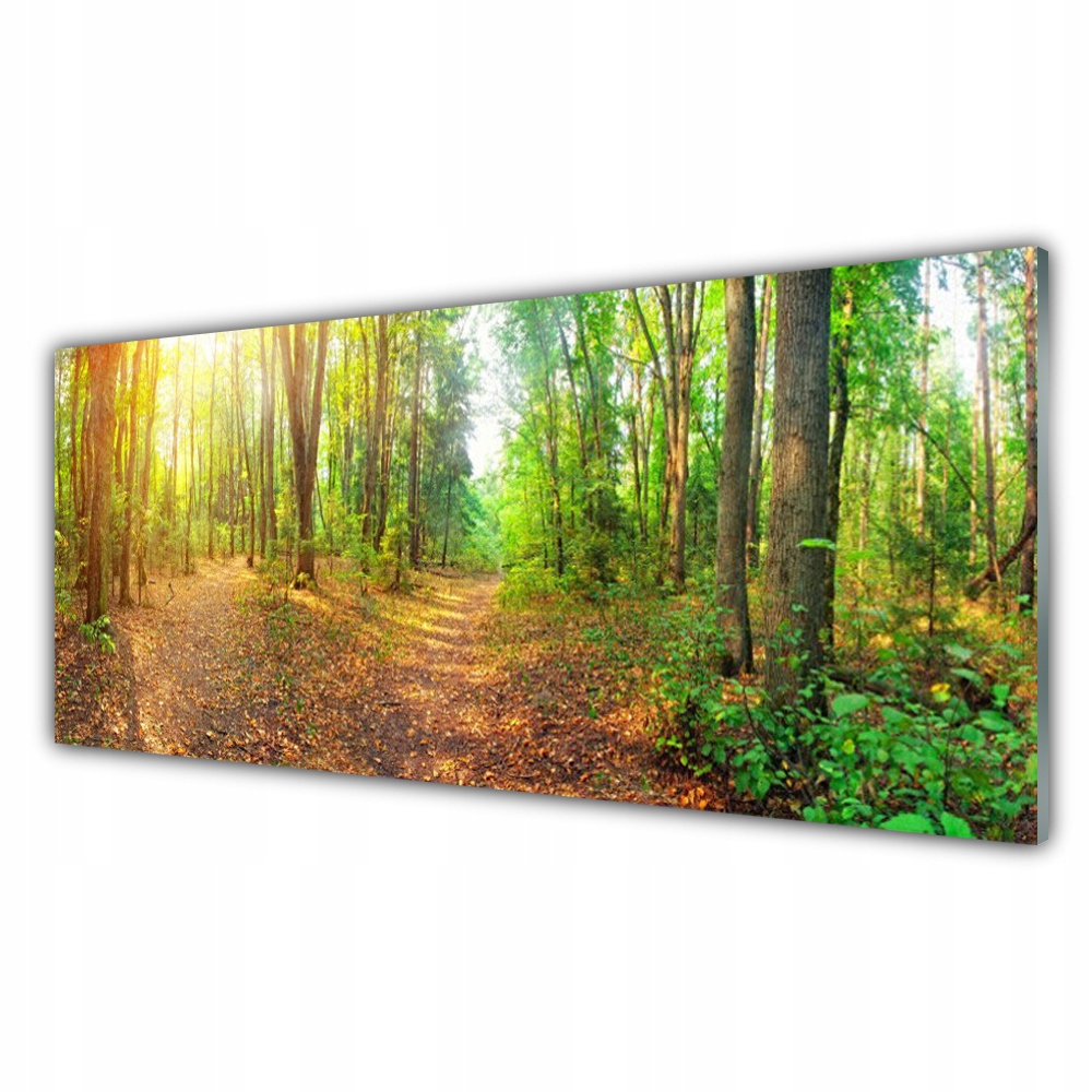 

Obraz akrylowy na ścianę 125x50 Las Natura Drzewa