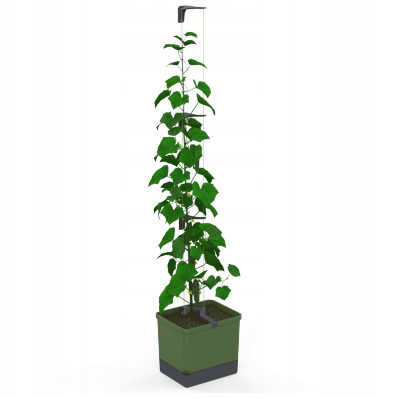 Gusta Garden Curt Cucumber samozavlažovací truhlík zelený