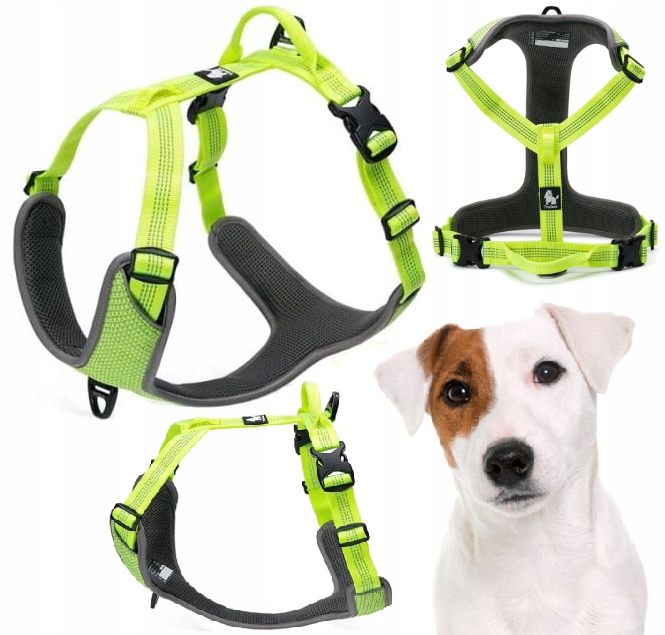 Reflexní Obojky Pro Psa Easy Walk, Silné Truelove Lumen Žluté
