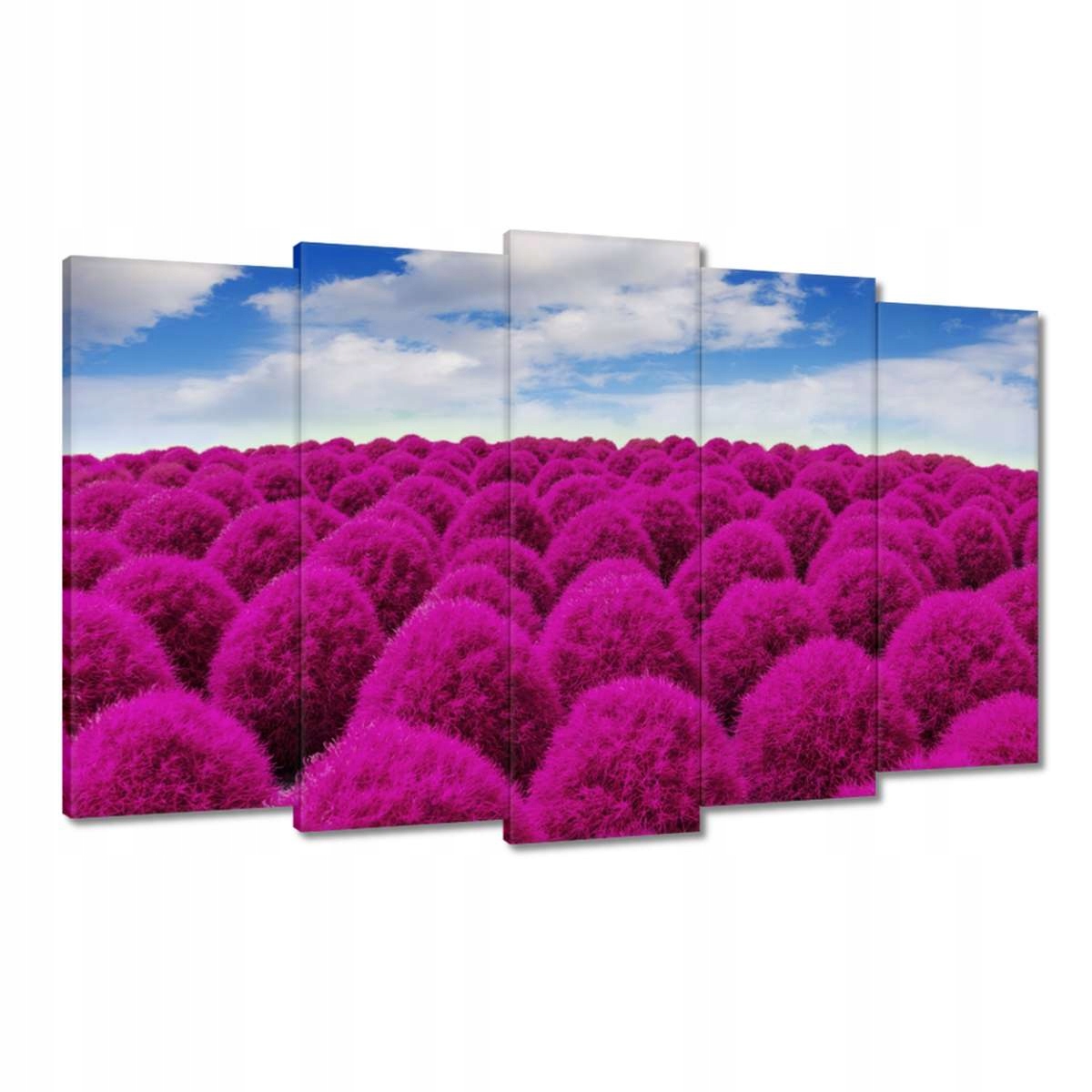 Obrazy 100x60 Výrazná louka Krajina