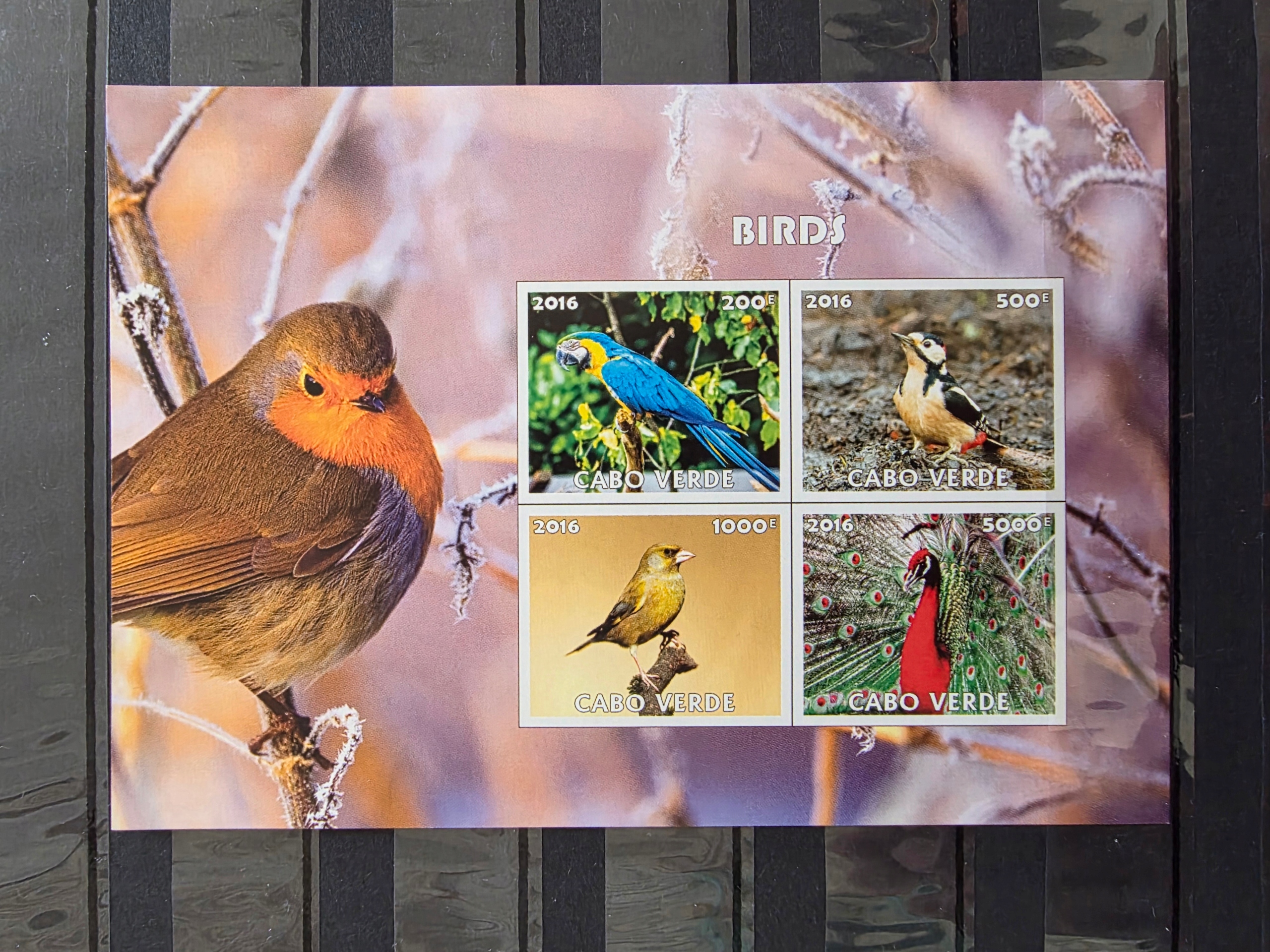 Znaczki Fauna Ptaki Cabo Verde czysty imperf. /P4