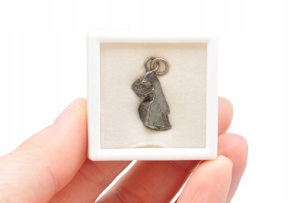 * Meteorit Aletai Čína Přívěsek V Krabičce Nepravidelného Tvaru Č. 2 *