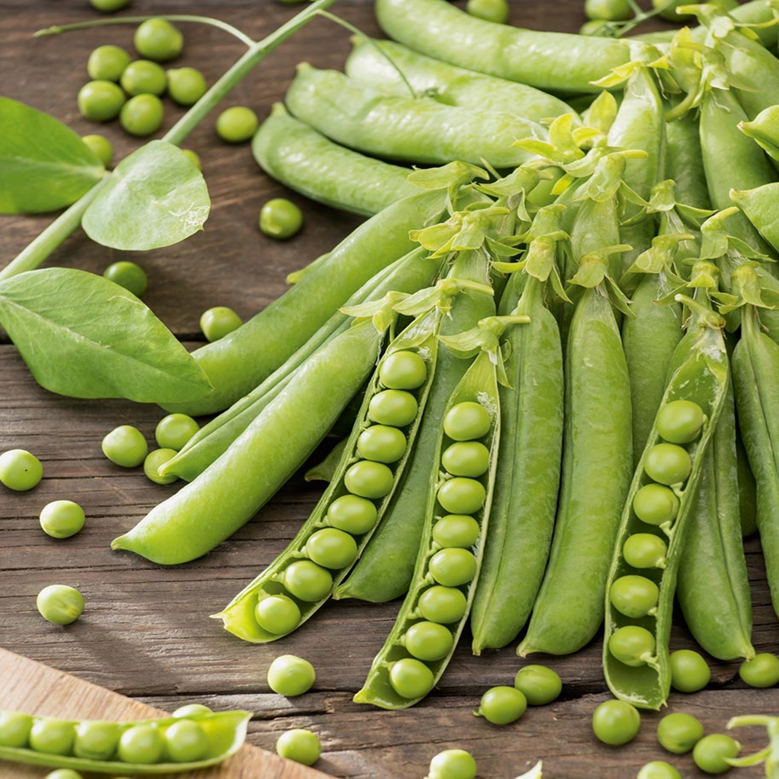 самый сладкий горох. самый сладкий горох. горох ранний 301 описание сорта фото отзывы. самый сладкий горох. горох буян сахарный.