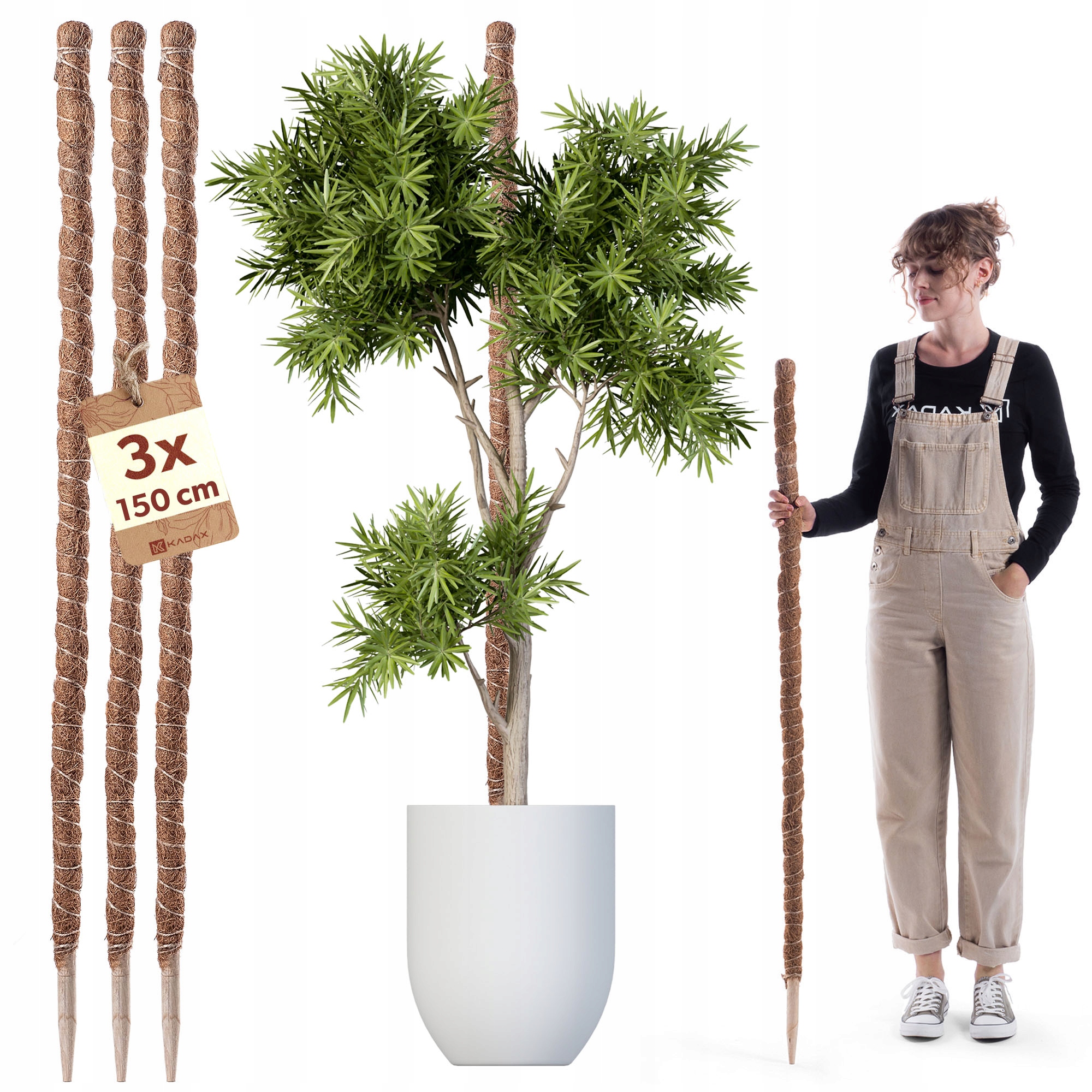 3x PODPORA DO ROŚLIN KWIATÓW 150cm PALIK KOKOSOWY 4,5 TYCZKA PAŁKA MONSTERY