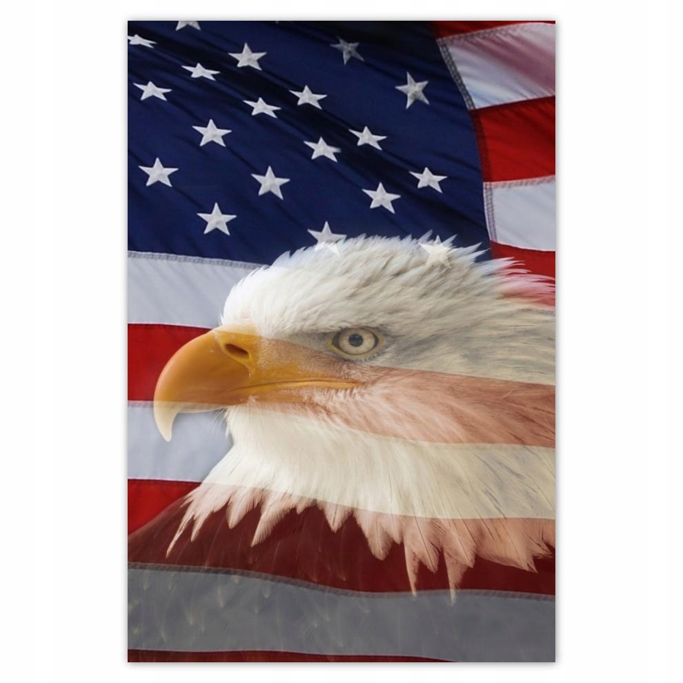 

Plakaty 40x60 Freedom from Usa