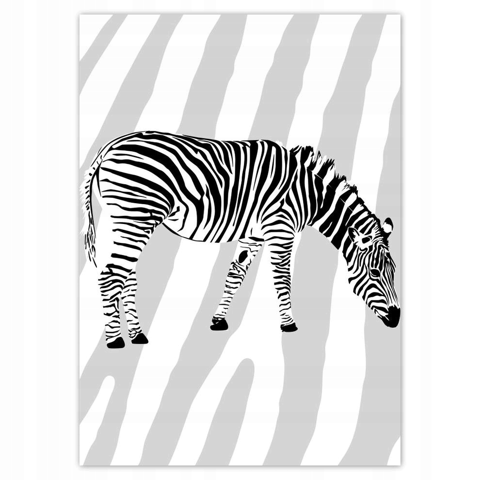 

Plakat 50x70 Zebra Paski