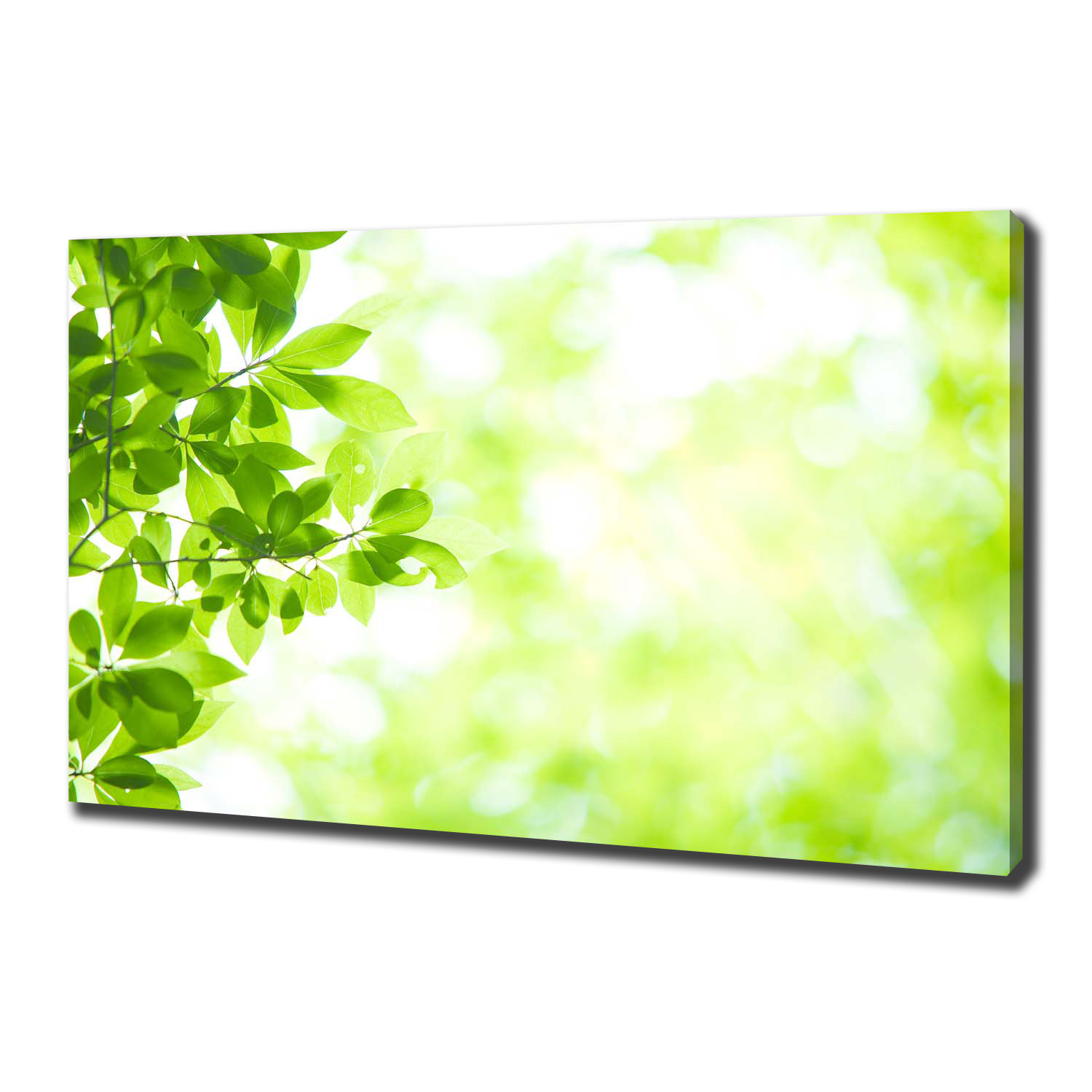

Duży foto obraz na ścianę canvas Liście 100x70 cm