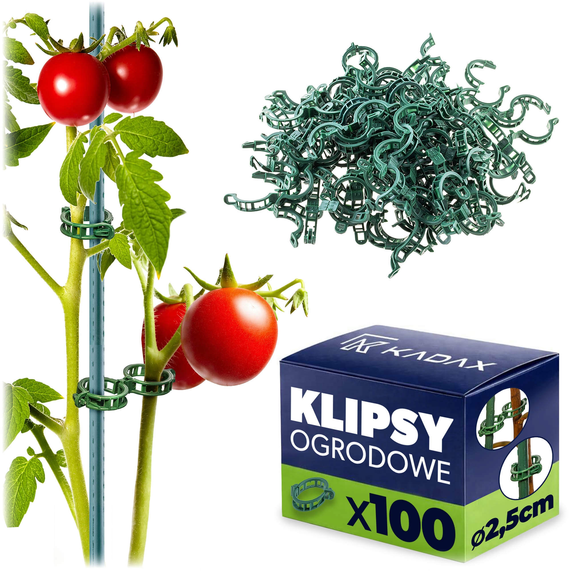 100 SZT KLIPSY DO ROŚLIN ZAPINKI MOCOWANIA ŁODYG POMIDORÓW PĘDÓW SPINKI
