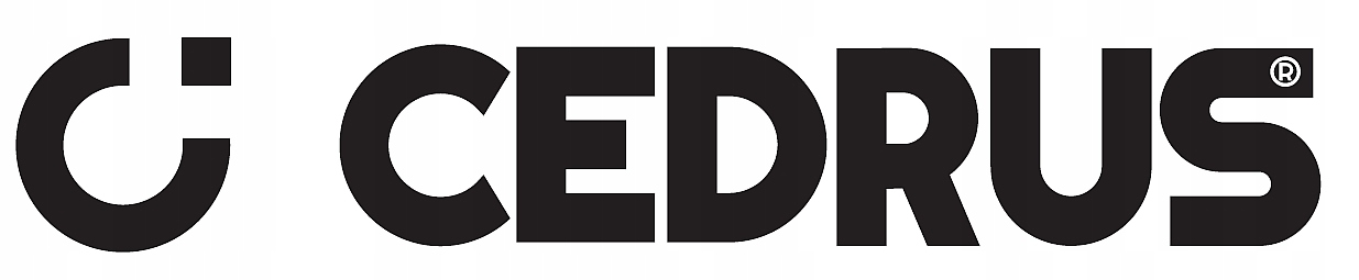 RB02PRO CEDRUS ROZDRABNIACZ SPALINOWY PROFESJONALNY REBAK DO GAŁĘZI 12cm RB Marka Cedrus