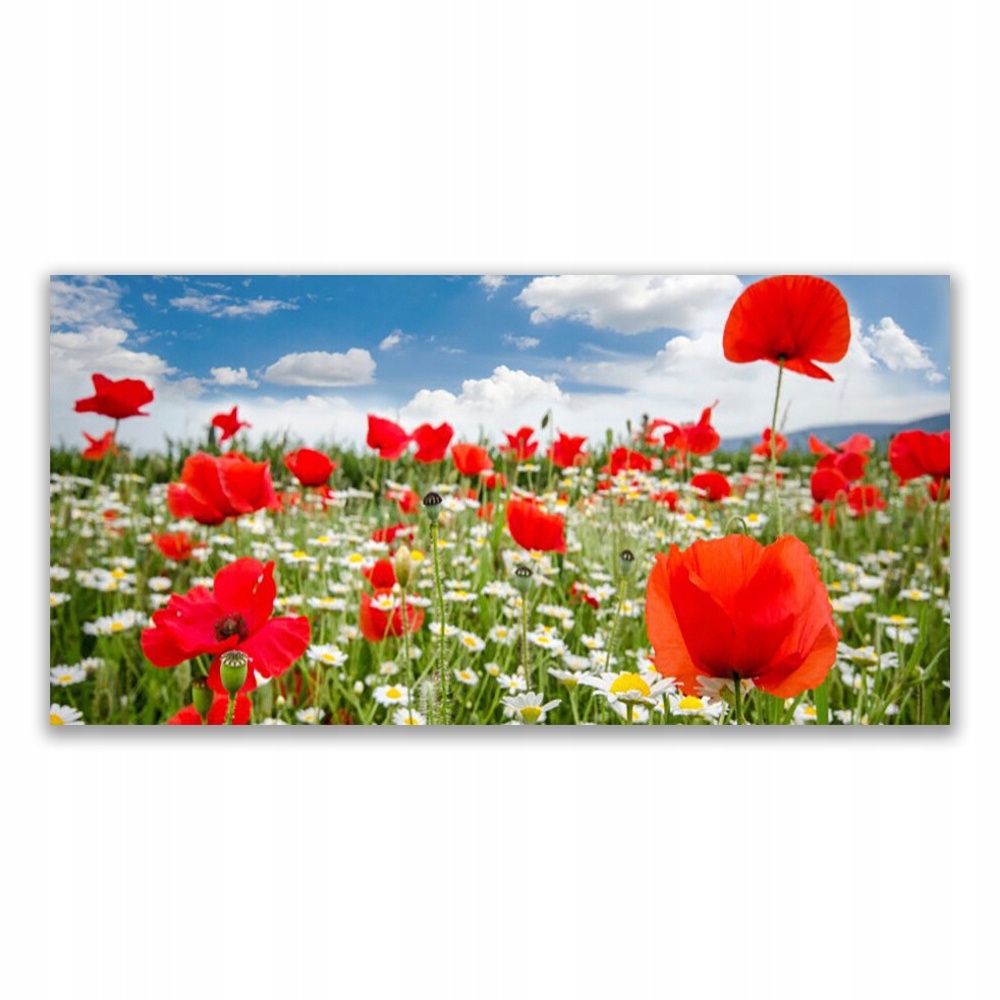 

Obraz akryl z grafiką 120x60 Łąka Kwiaty Przyroda