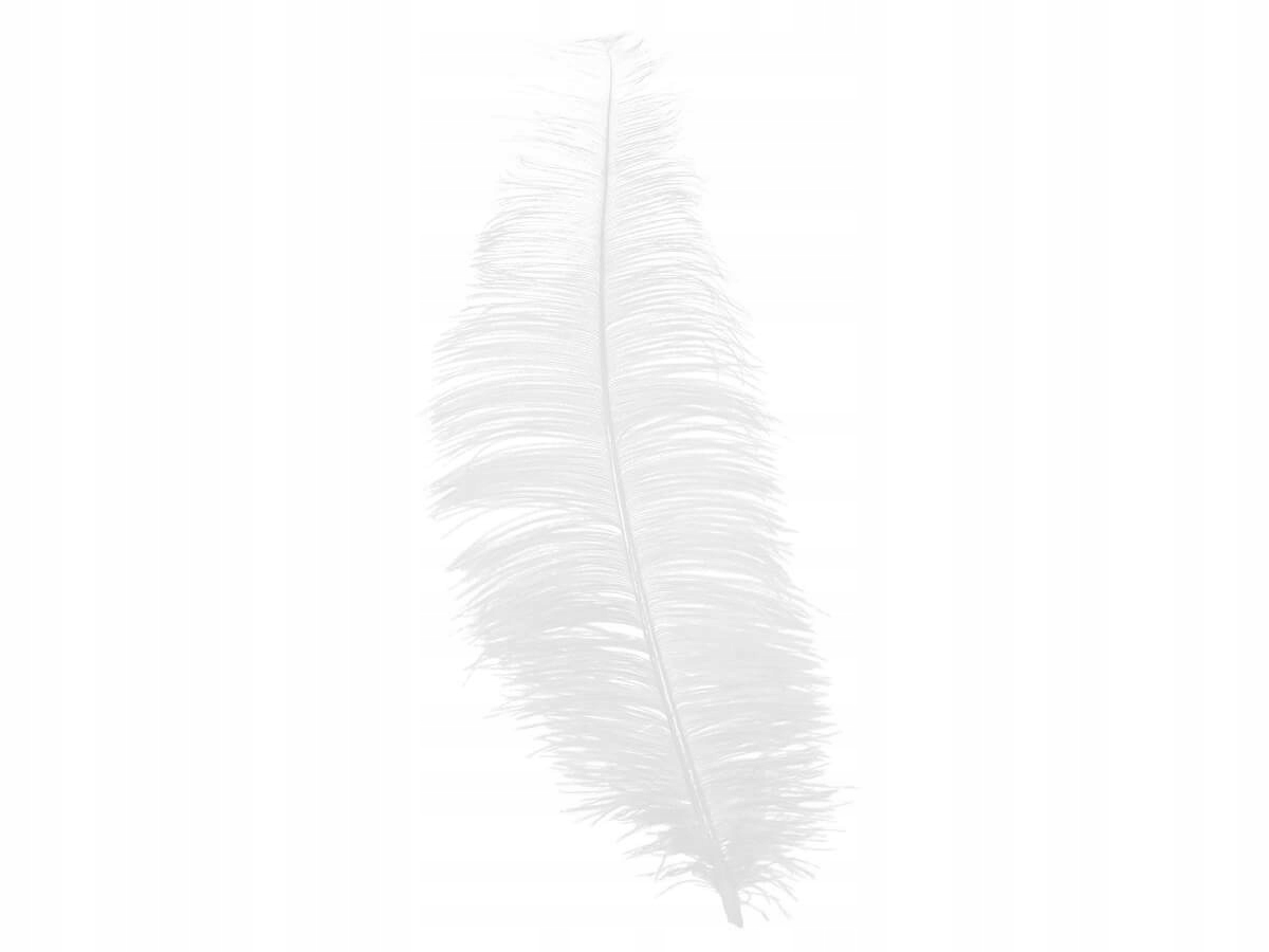 

Duże białe pióro w stylu charlestone 30 cm 1 szt