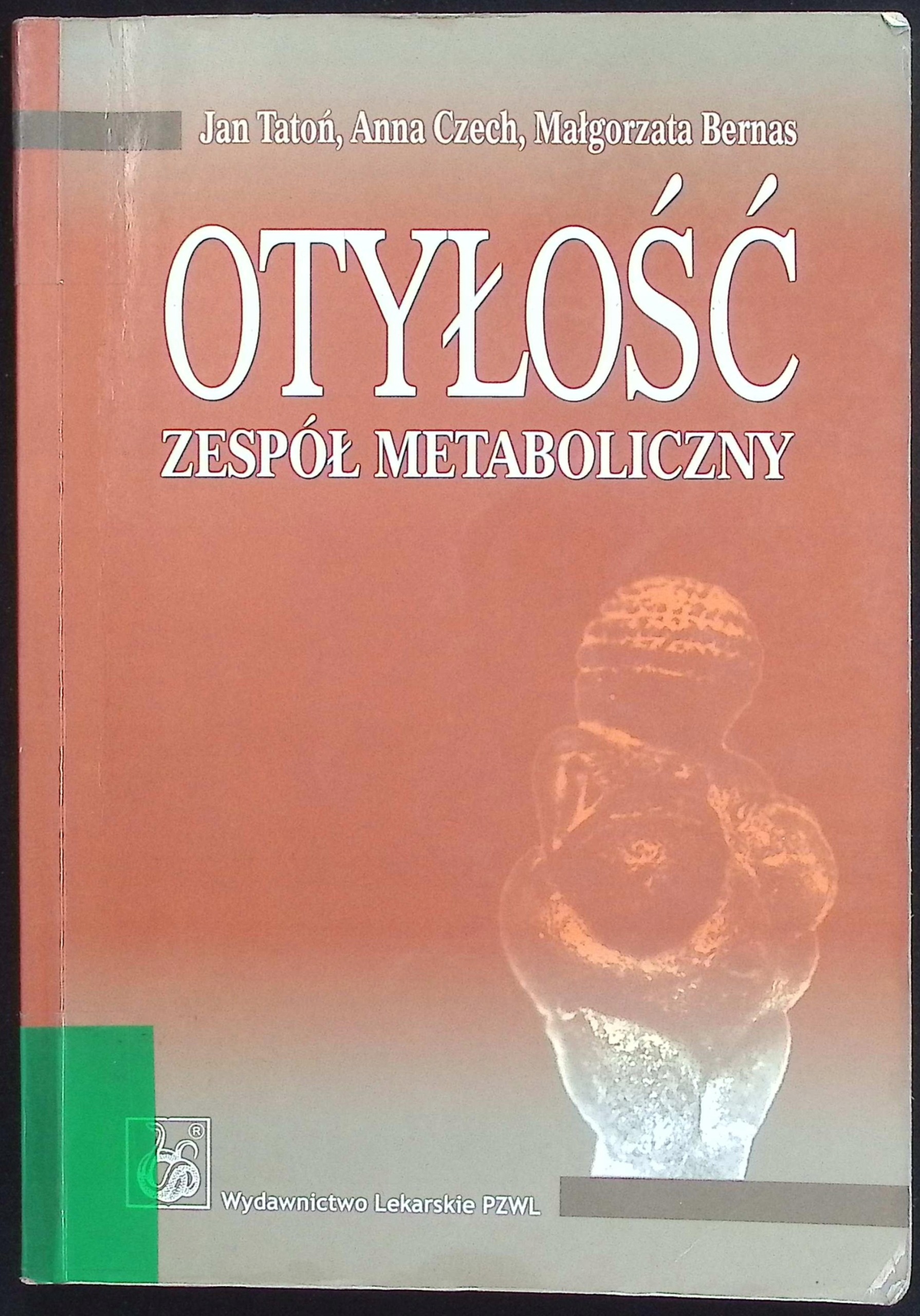 Otyłość zespół metaboliczny Jan Tatoń