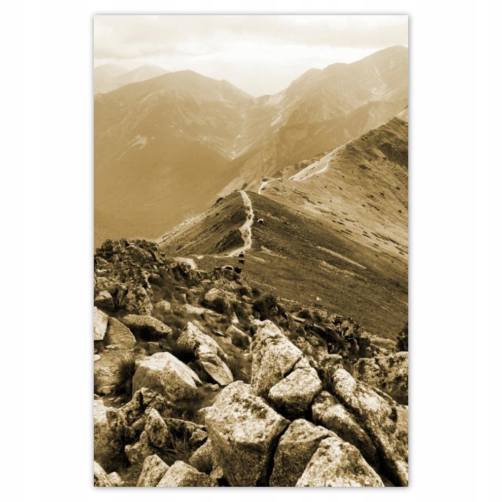 

Plakaty 40x60 Tatry Polskie góry Widok