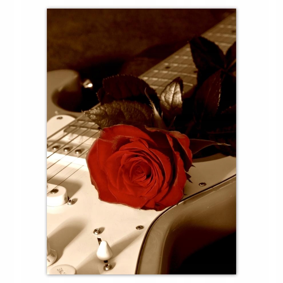 

Naklejki 50x70 Wiosło i róża