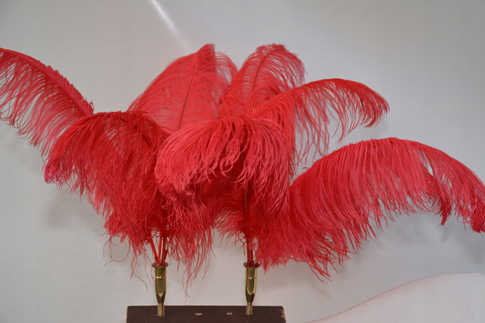 PIÓROPUSZ DO ZAPRZĘGU -STRUSIE PIÓRA Rodzaj uprząż