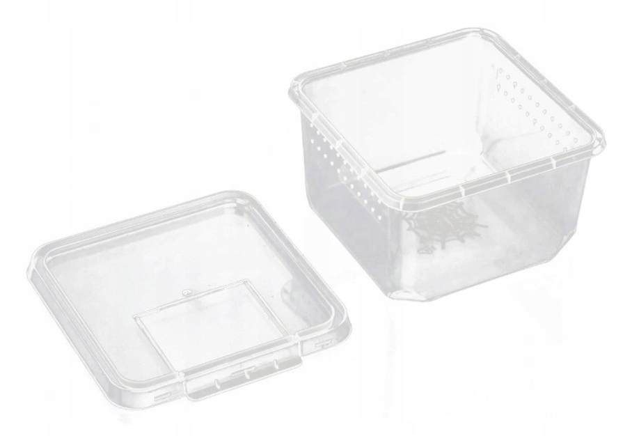

Insect Box Pojemnik hodowlany dla pająków 1 szt.
