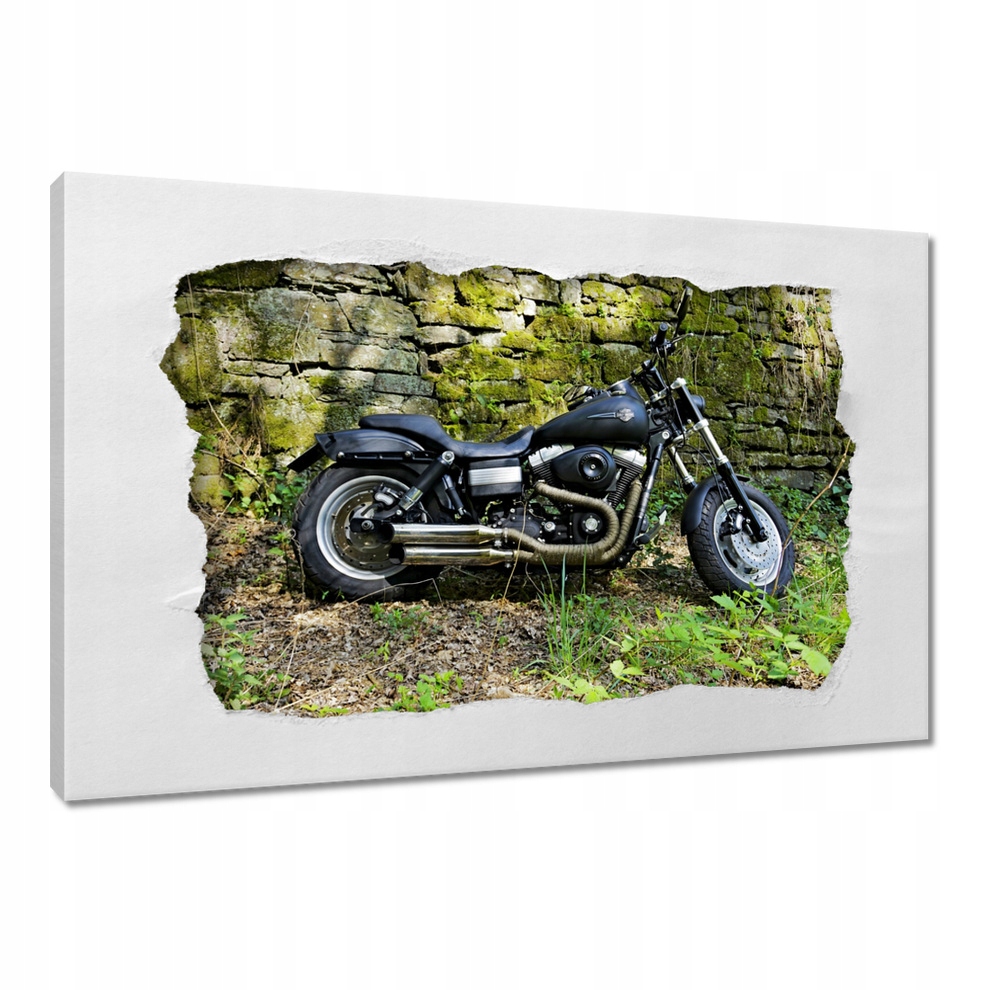 

Obrazy na płótnie 120x80 Harleyem na wycieczkę