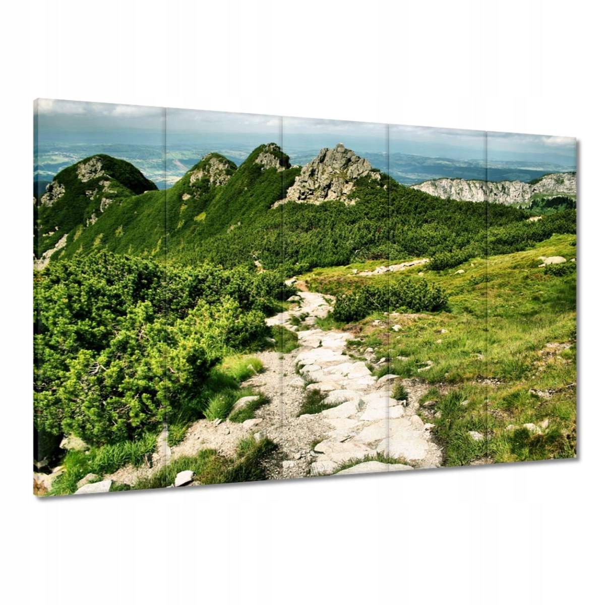 Obrazy 100x70 Tatry Polské hory Pohled