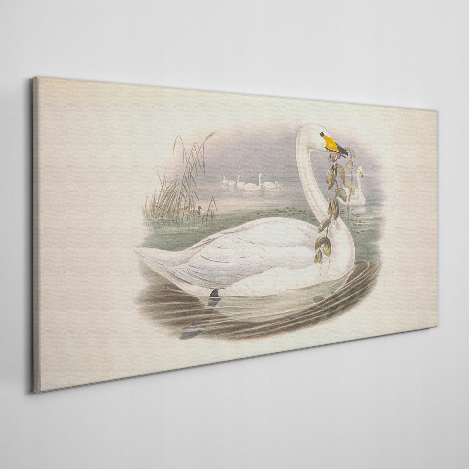 

Obraz na płótnie Ptaki zwierzęta beżowy 140x70 cm