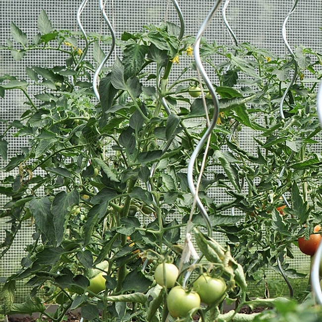 Podpora do roślin spirala aluminiowa / h280 cm - 3szt. Kod producenta Podpora spiralna aluminiowa