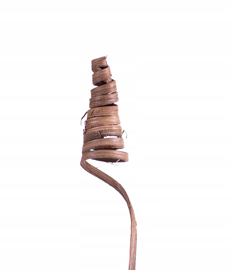 

Sprężynka mini Cane Cone 25cm natura