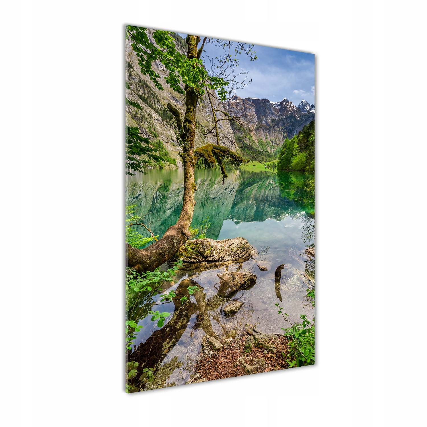 

Foto obraz szkło akrylowe Jezioro w górach 70x140